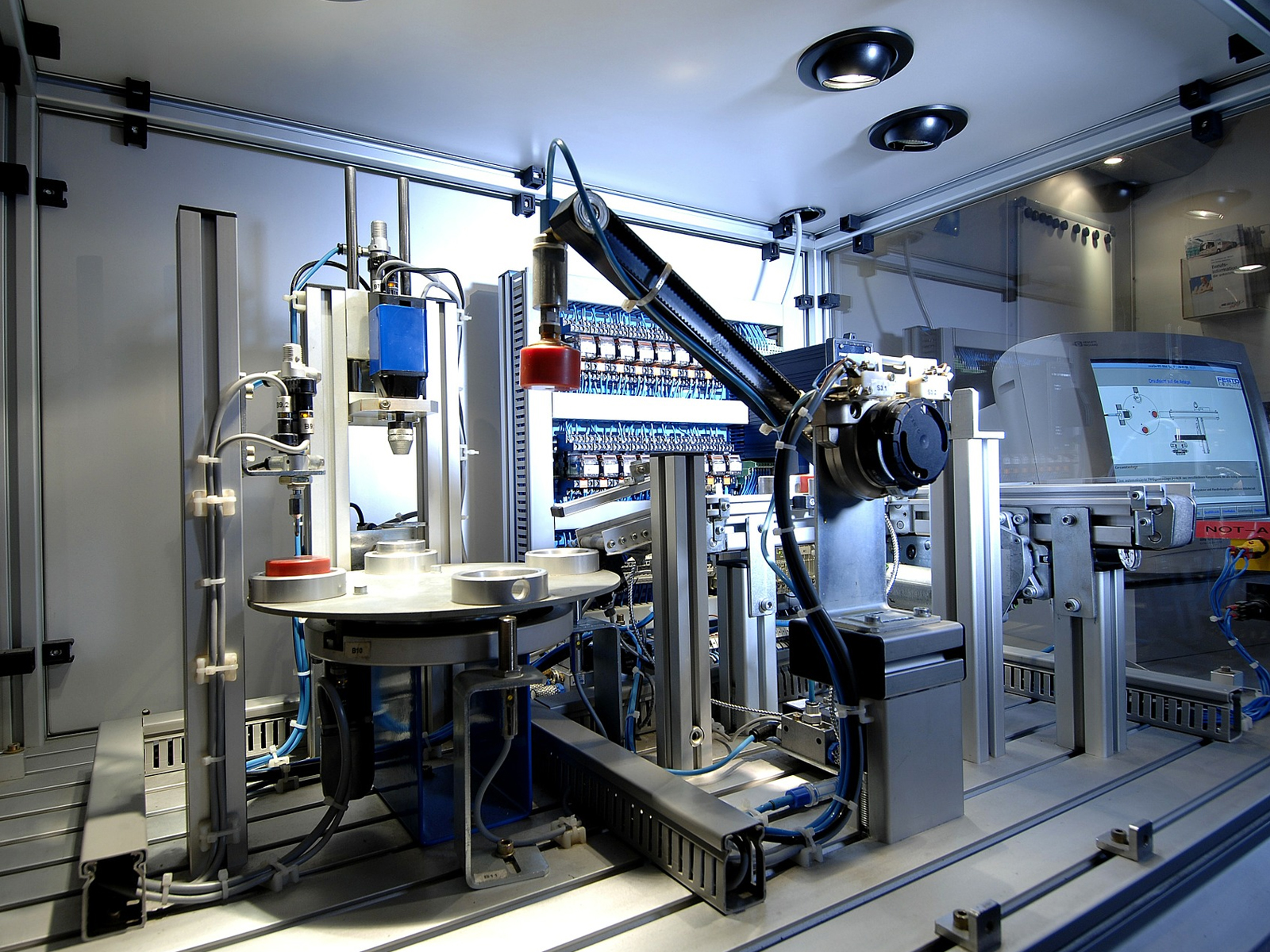 Global consumer insights